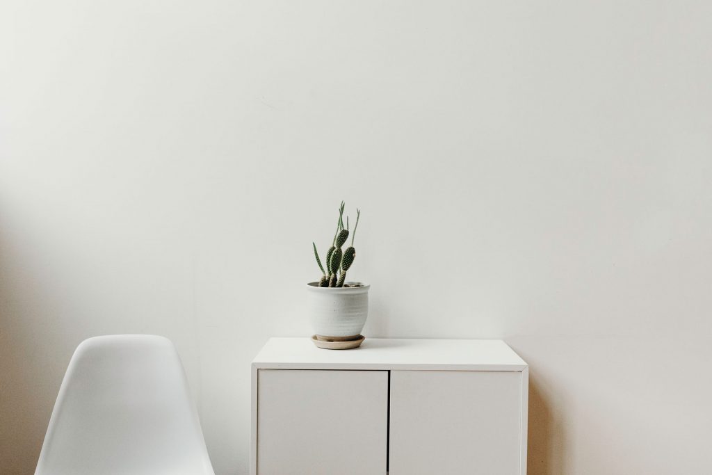 A small cactus sitting on a white shelf against a white wall