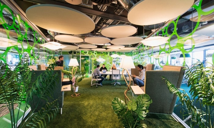 modern office with indoor plants and grass on the floor