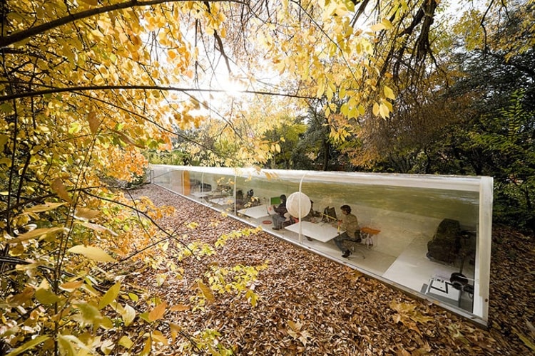 Glass office half-submerged into the ground, surrounded by trees and foliage