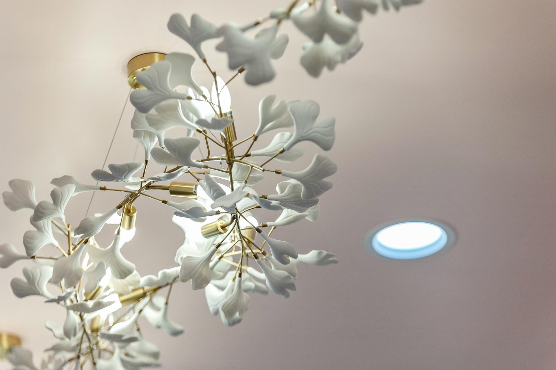 WEB Kiko Marikka Co Carousel Westfield Shopping 27